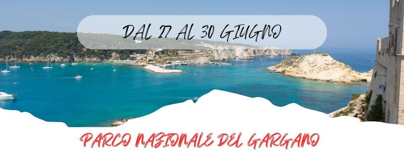 DAL 27 AL 30 GIUGNO 2025
 PARCO NAZIONALE DEL GARGANO & LE ISOLE TREMITI - 553 Euro