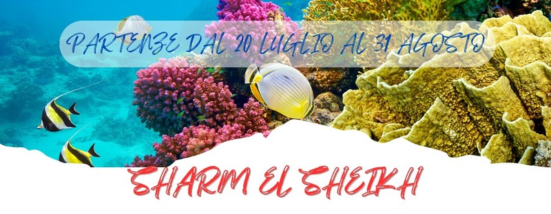 SPECIALI PARTENZE DAL 20 LUGLIO AL 31 AGOSTO
 SHARM EL SHEIKH - TRESORT QUEEN
 da 901 Euro 
Il Queen Sharm Resort è situato a Sharm El Sheikh, di fronte al resort Alf Leila Wa Leila. L'hotel dista in auto 10 minuti da Naama Bay e 20 minuti dall'Aeroporto Internazionale di Sharm el-Sheikh. La struttura sorge su un fronte mare di circa 200 metri composto da calette. L‘accesso al mare è facilitato dalla presenza di due pontili che permettono di raggiungere comodamente la splendida barriera corallina. La spiaggia è attrezzata con ombrelloni, lettini e teli mare gratuiti.