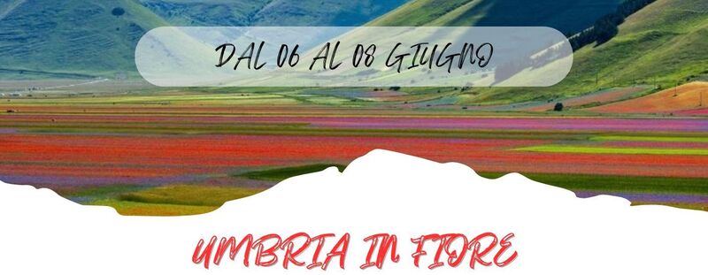 DAL 06 AL 08 GIUGNO 2025
 UMBRIA IN FIORE - 330 Euro