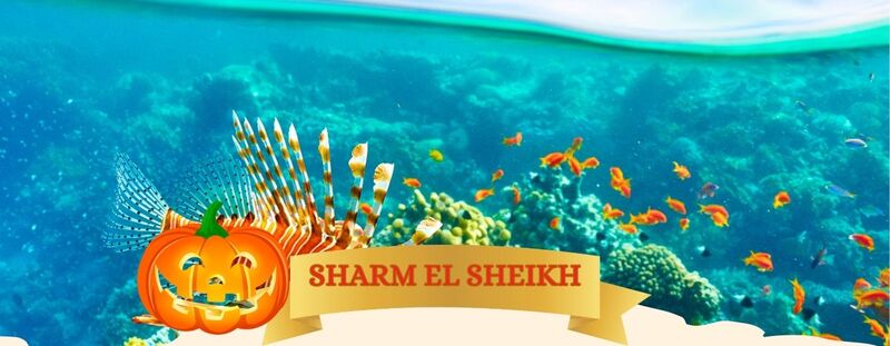 OFFERTA VALIDA DAL 30 OTTOBRE AL 10 NOVEMBRE
 EPIFANIA A MARRAKECH da 879 Euro