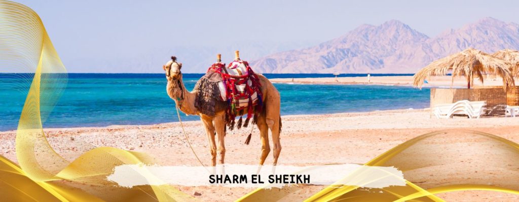 PARTENZE LUGLIO E AGOSTO - VOLI DIRETTI DA ROMA
SHARM EL SHEIKH - QUEEN SHARM BEACH 4*
 - da 775 Euro