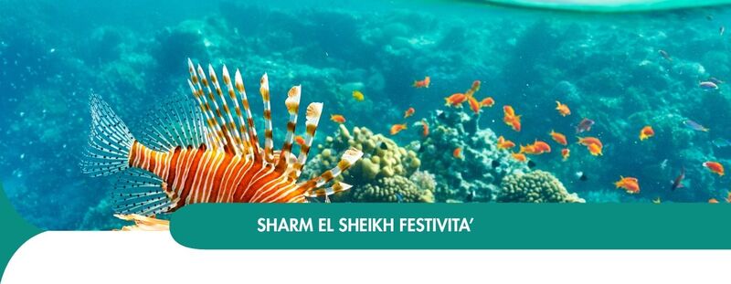 SPECIALI FESTIVITA' NATALIZIE - 7 NOTTI
SHARM EL SHEIKH - QUEEN SHARM da 834 Euro